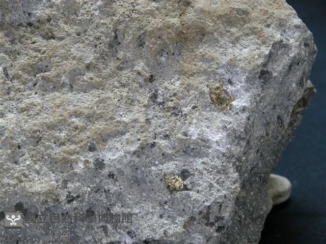石英安山岩藏品圖，第3張