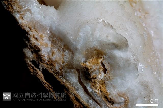 鐘乳石藏品圖，第3張