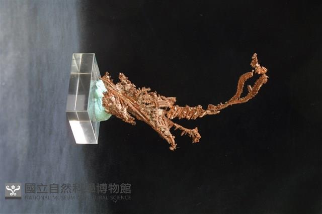 自然銅藏品圖，第4張