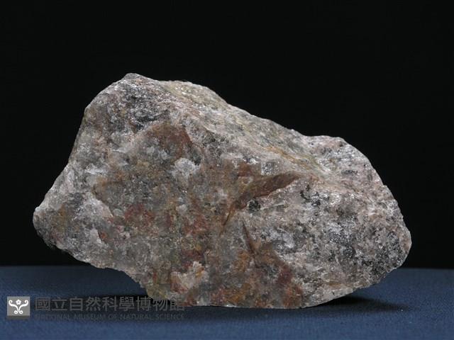 花崗岩化石英岩藏品圖，第3張