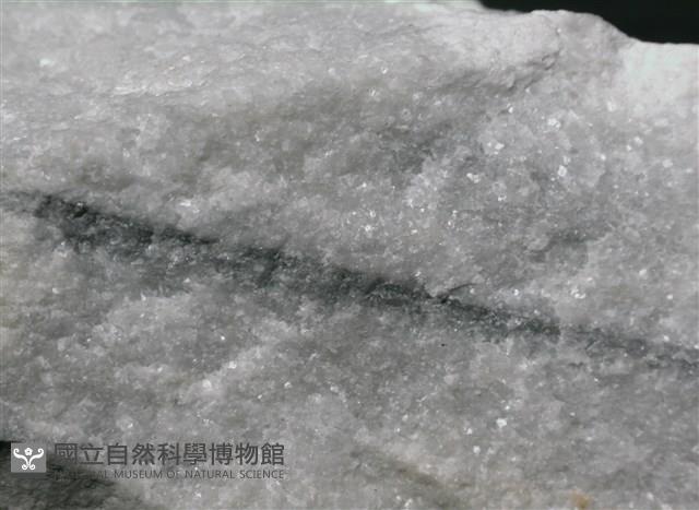 大理岩藏品圖，第4張