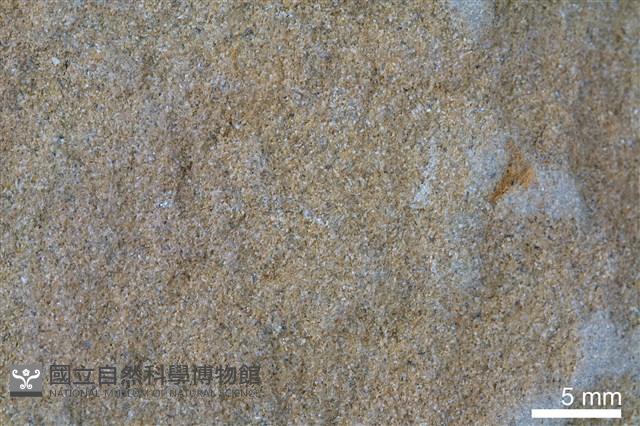 砂岩藏品圖，第3張