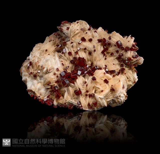 釩鉛礦藏品圖，第1張