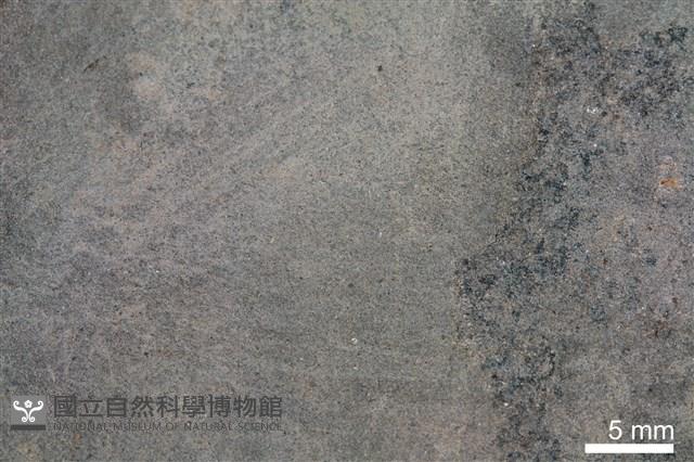 頁岩藏品圖，第3張