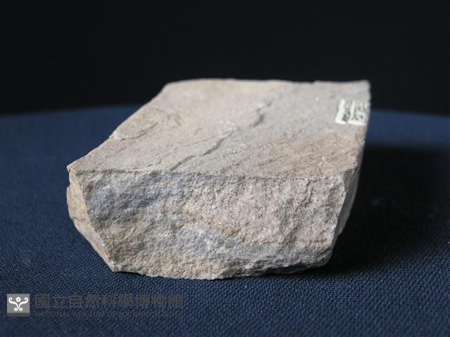 矽質片岩藏品圖，第3張