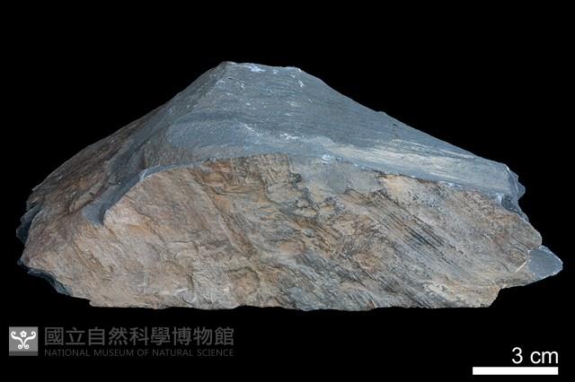 粉砂岩藏品圖，第4張
