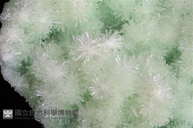 透石膏藏品圖，第4張