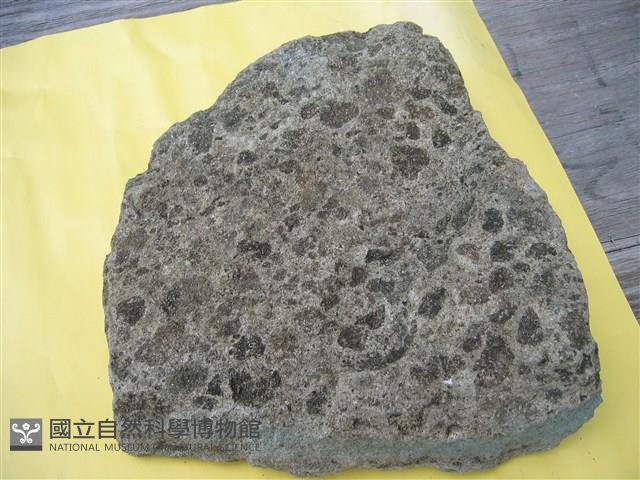 火山碎屑岩藏品圖，第3張