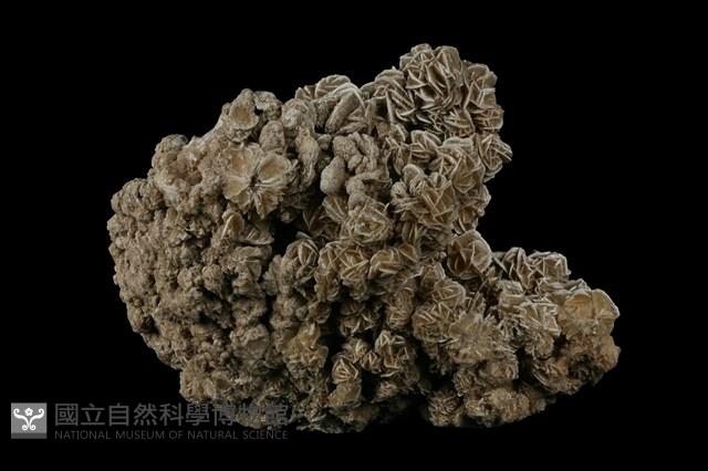 石膏藏品圖，第4張
