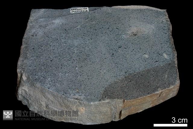 粉砂岩藏品圖，第3張