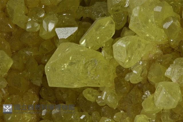 硫磺/透石膏藏品圖，第4張