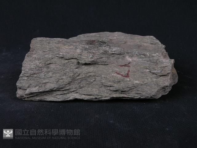 石墨片岩、綠泥石片岩藏品圖，第3張