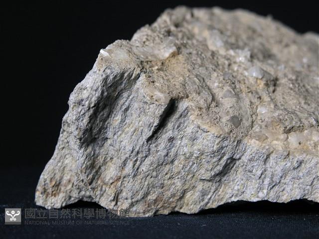 矽質片岩藏品圖，第3張
