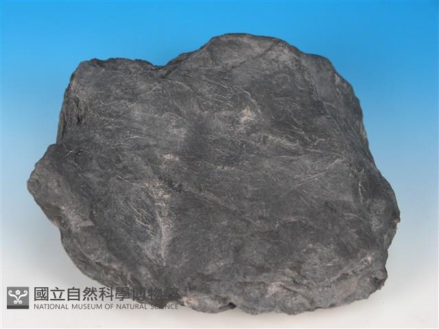硬頁岩藏品圖，第4張
