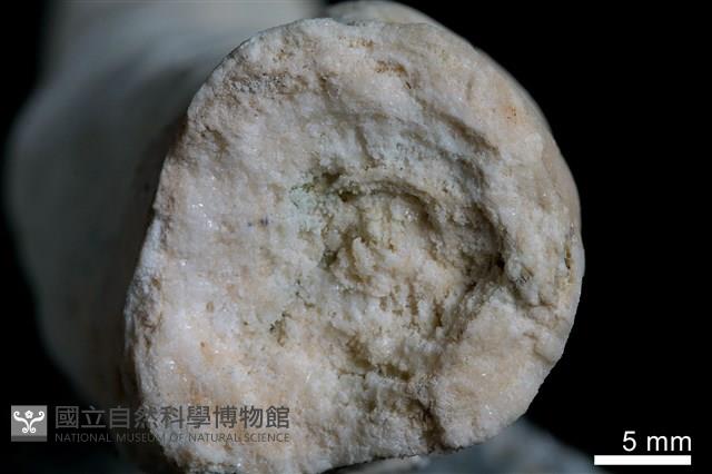 鐘乳石藏品圖，第4張