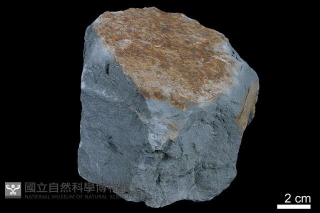 粉砂岩藏品圖，第3張