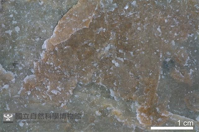 變質燧石藏品圖，第3張
