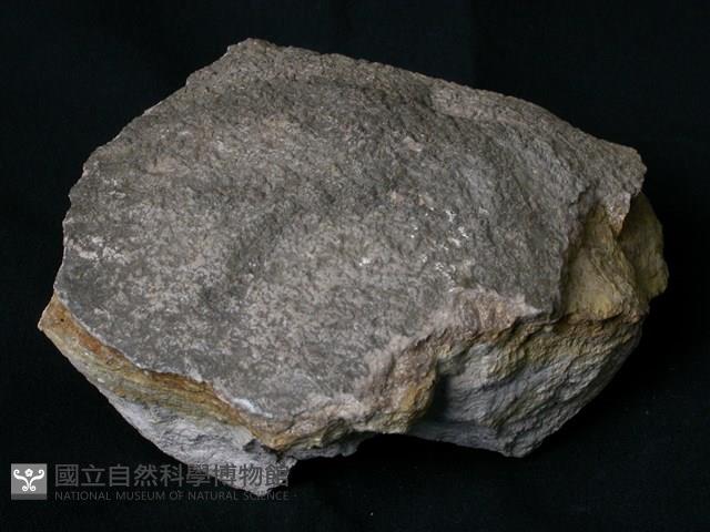 北投石藏品圖，第3張