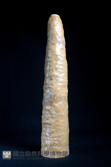 鐘乳石藏品圖，第3張