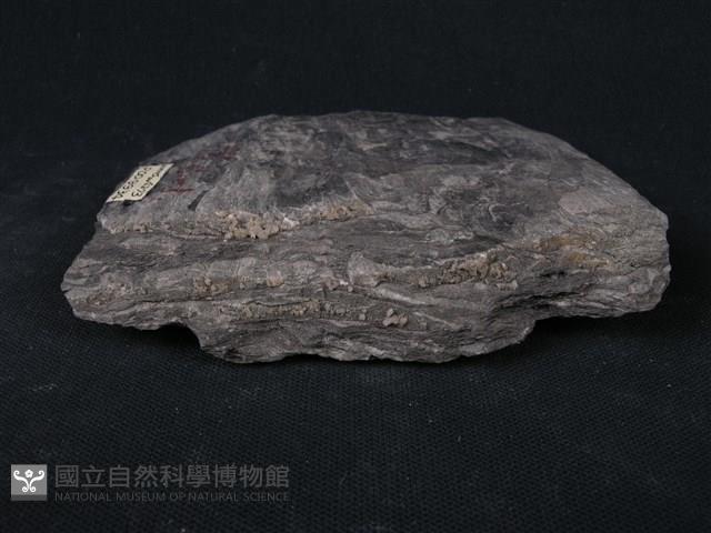 石墨片岩藏品圖，第3張
