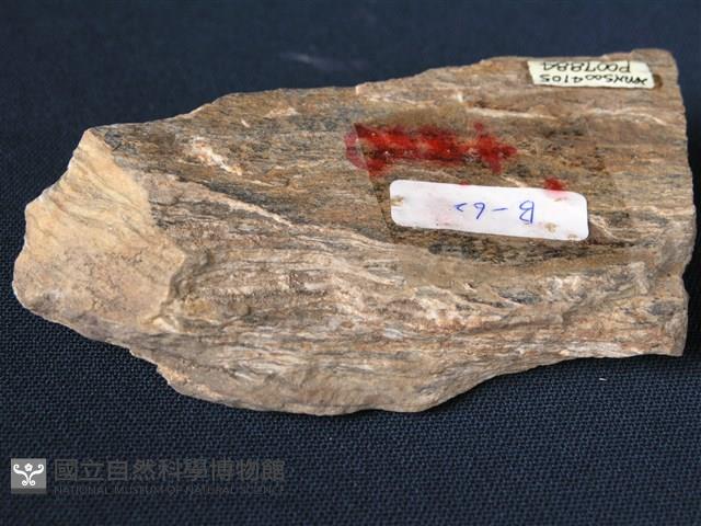 矽質片岩藏品圖，第3張