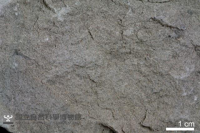 頁岩藏品圖，第4張