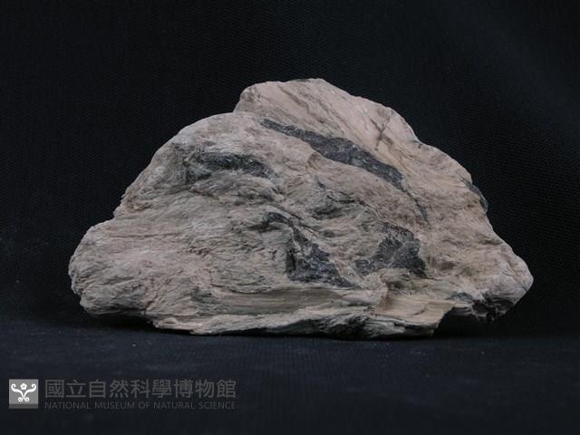 蛇紋岩,石棉藏品圖，第4張