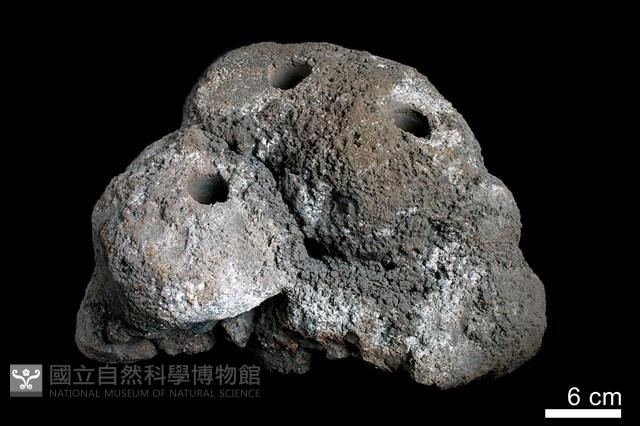 錳核藏品圖，第4張