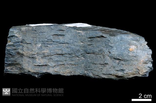 頁岩藏品圖，第4張