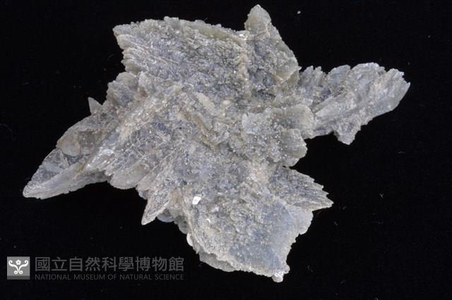 石膏藏品圖，第4張