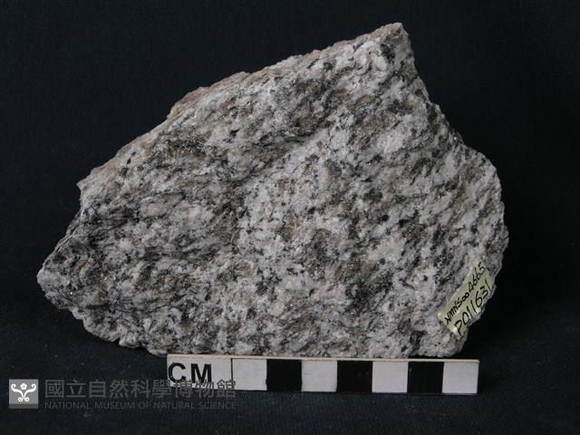 正片麻岩藏品圖，第4張