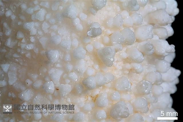 方解石 藏品圖，第4張