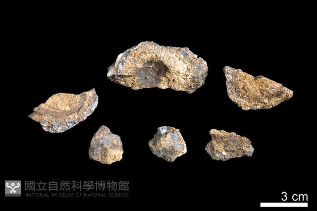 錳核藏品圖，第4張
