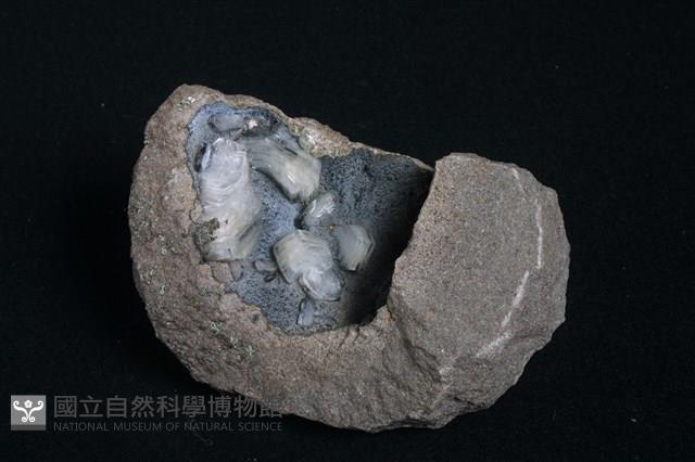 片沸石藏品圖，第4張