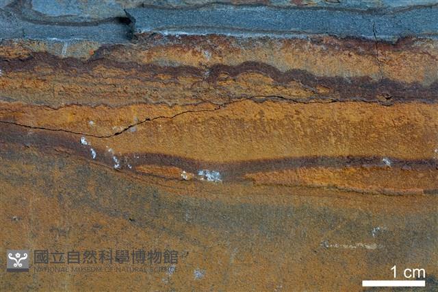 粉砂岩藏品圖，第4張