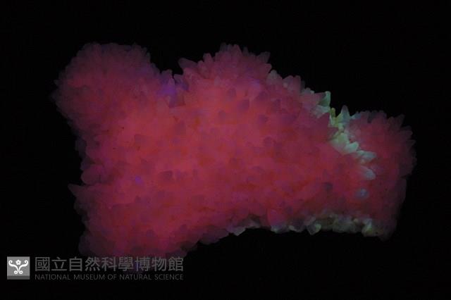 錳方解石藏品圖，第4張