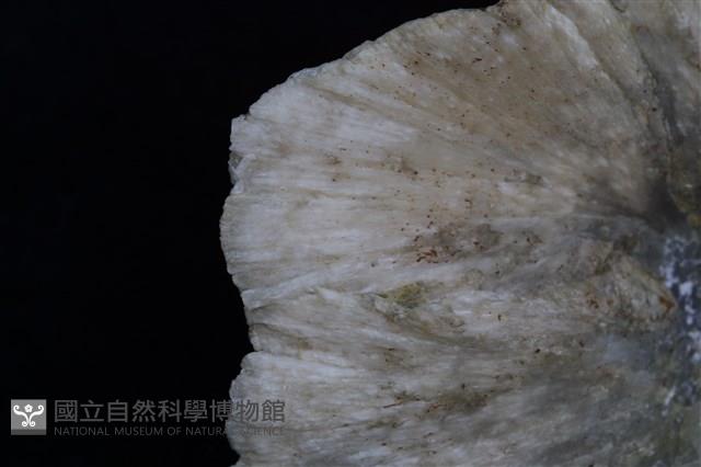 四水鍶硼石 藏品圖，第8張