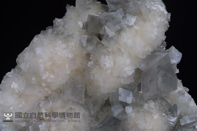 白雲石藏品圖，第8張