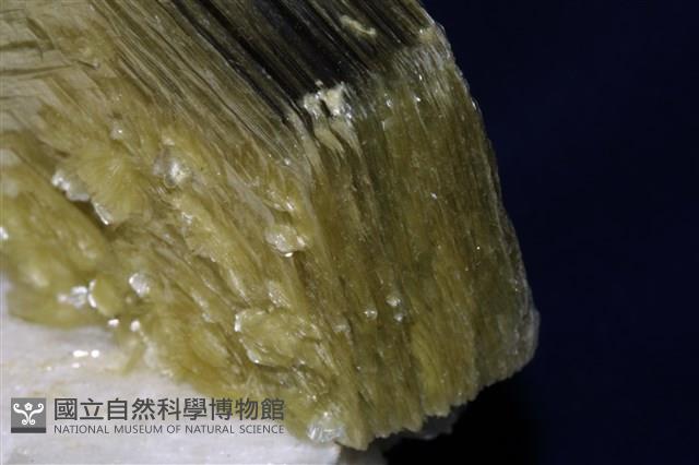 白雲母藏品圖，第8張
