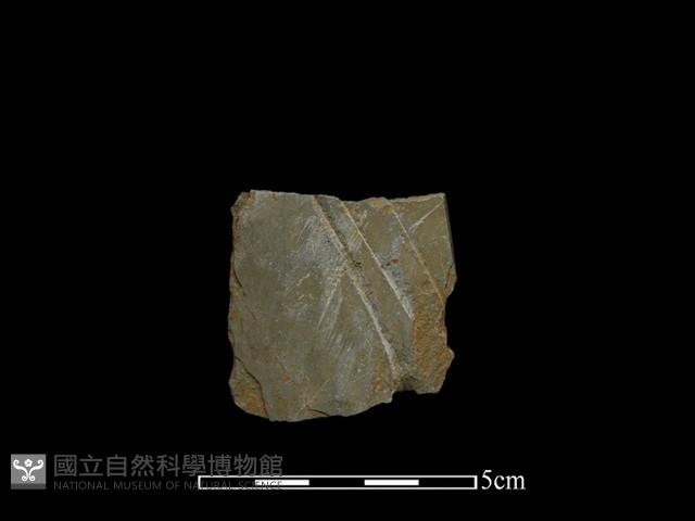 磨製石器藏品圖，第2張