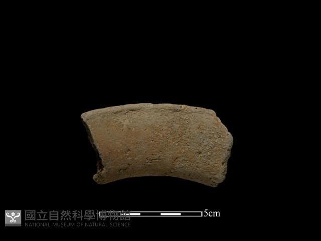 陶片藏品圖，第2張