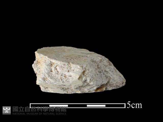 帶加工痕石材藏品圖，第2張