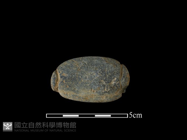 網墜藏品圖，第2張