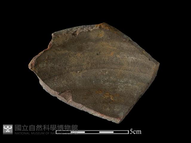 硬陶片藏品圖，第2張