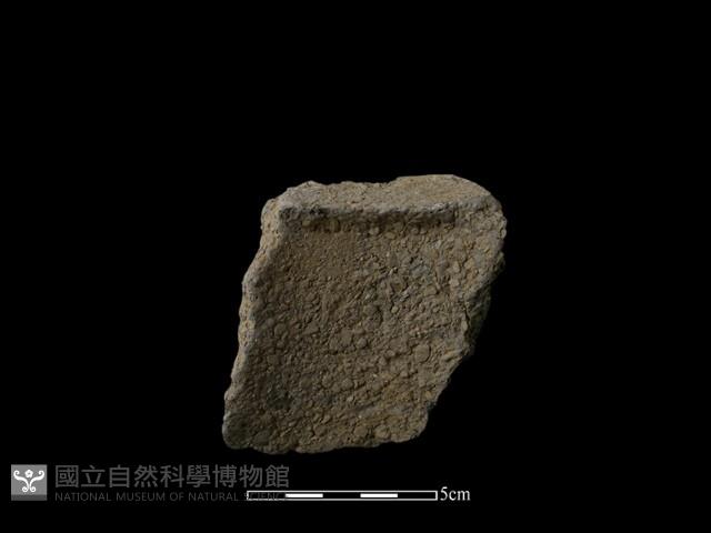 陶片藏品圖，第1張