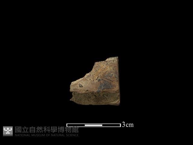 錛鑿形器藏品圖，第1張