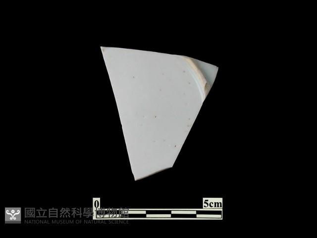 帶紋飾瓷片藏品圖，第2張