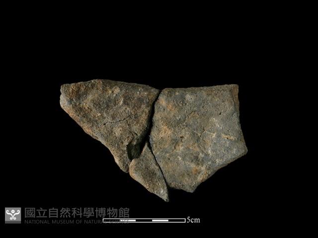 陶罐藏品圖，第1張