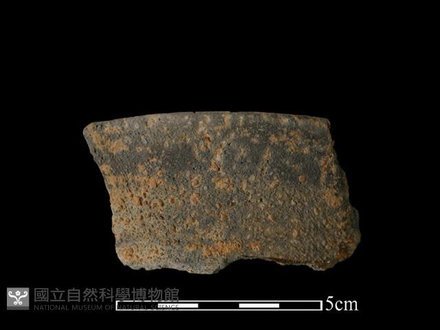 陶片藏品圖，第1張