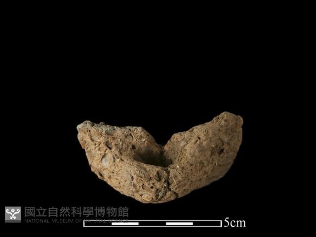 陶耳藏品圖，第2張